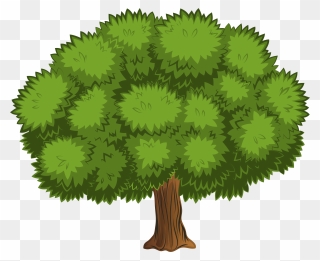 Trees Top View Clipart