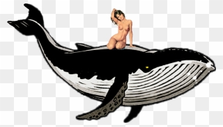 Gray Whale Clipart