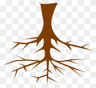 Roots Clipart - Tree Clipart With Roots - Png Download