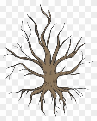 Dried-up Tree With Roots Clipart - Illustration - Png Download