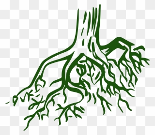 Transparent Tree Roots Clipart - Coloring Pages For Roots - Png Download