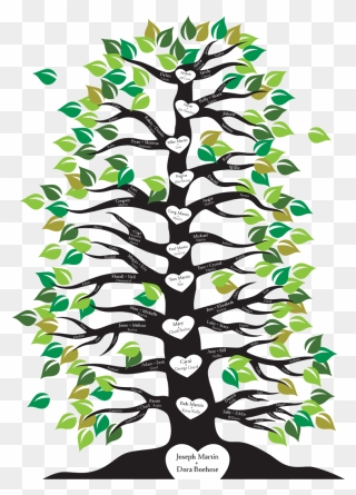 Family Tree Starting From Root Clipart