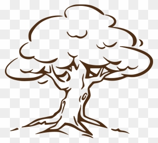 White Oak Tree Clipart - Png Download