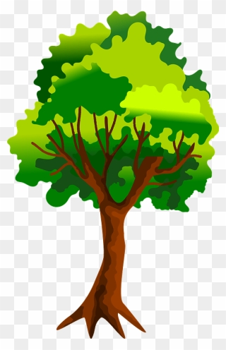 Tree 02042019 Clipart - Orange Tree Clipart - Png Download