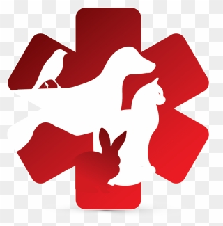 Logo Veterinarian Clipart - Png Download