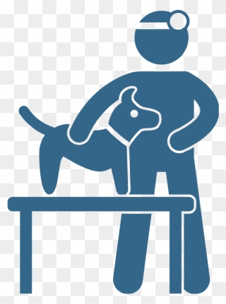 Veterinary Technician School Programs And Jobs - Pet Doctor Icon Clipart