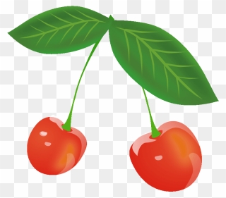 Cherry Clipart Download - Cherry - Png Download
