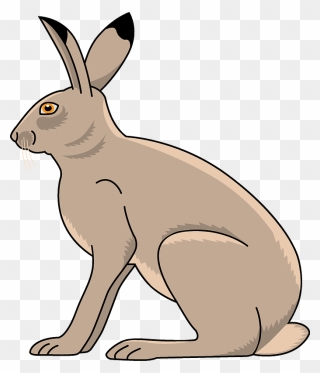 Free Download - Hare Clipart - Png Download