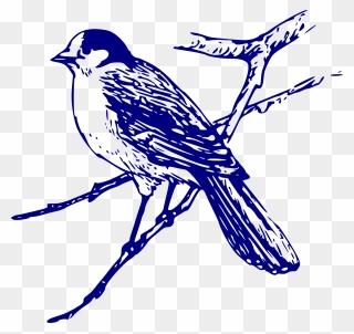 Blue Bird Line Drawing Clipart