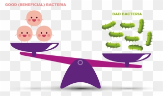 Good Bacteria Vs Bad Bacteria - Bacteria Good And Bad Png Clipart