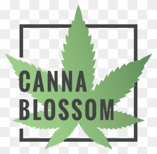 Use Coupon Code At Cart Page - Coupon Code For Canna Blossom Clipart