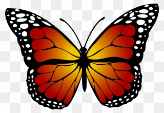 Monarch Butterfly Clipart Brown - Butterfly Picture For Kids - Png Download