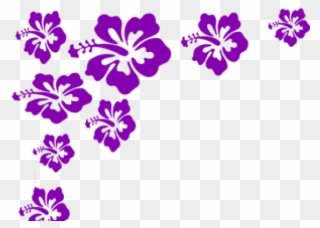 Hibiscus Clip Art Purple Border - Png Download