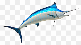 Marlin Clipart Logo - Fish Png Transparent Png