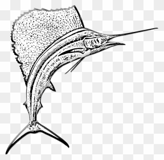 Ikan Pedang Marlin Clipart