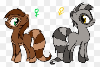 Pony Raccoon Hybrids By Dropdeadthendance On - Horse Clipart