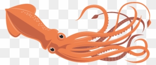 Vbs « Fletcher First Baptist Church - Giant Squid Clip Art - Png Download