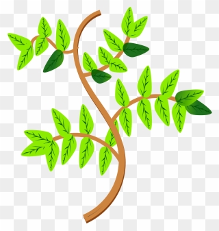 Hojas Y Ramas - Leaves On Branches Clipart
