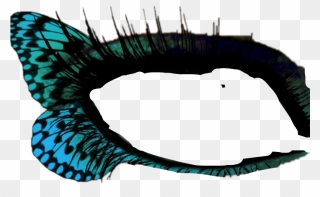 Report Abuse - Butterflies That Look Like Eyes Clipart