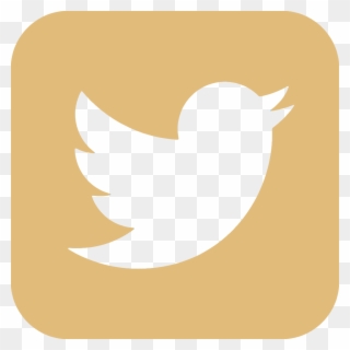 Events & News - Logos De Twitter Png Clipart