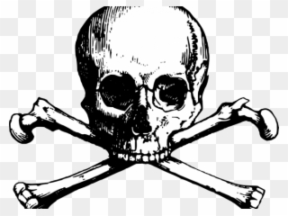 New England Patriots Clipart Skull - Skull And Bones Png Transparent Png