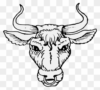 Cattle Heraldry Artist Ox - Ox Head Horn Png Clipart