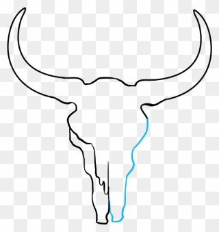 How To Draw Bull Skull - Draw A Cow Skull Clipart