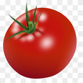 Tomato Clipart - Png Download