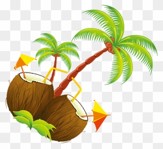 Coconut Tree Illustration - Cartoon Coconut Trees Clipart
