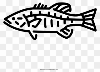 Transparent Largemouth Bass Clipart - Smallmouth Bass Icon - Png Download