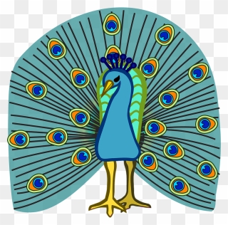 Peacock Clipart - Clip Art - Png Download