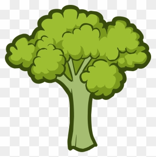 Thumb Image - Broccoli Clipart - Png Download