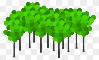 Transparent Group Of Trees Clipart