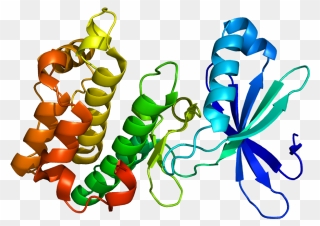 Kinase Protein Clipart
