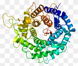 Protein Man1b1 Pdb 1fmi Clipart