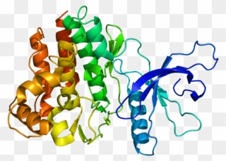 Il 3 Protein Structure Clipart
