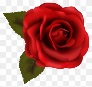 Beautiful Red Rose Transparent Png Clip Art Image - Rose Clipart Transparent Background