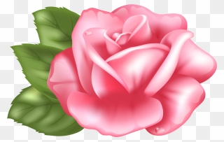 Pink Rose Transparent Png Clip Art Imageu200b Gallery - Pink Rose Clipart Hd