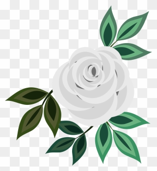 Clip Art Pink Rose , Png Download - White Rose Clipart Png Transparent Png