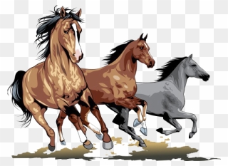 Clip Art Running Transprent - Running Horses Clip Art - Png Download