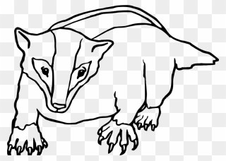 Badger Clipart Black And White - Png Download