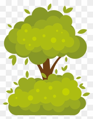 Tree In The Bush Clipart - Illustration - Png Download
