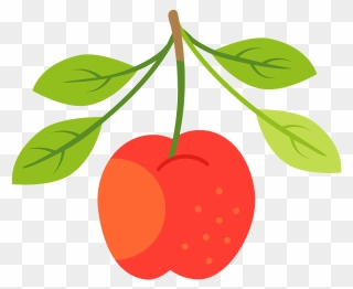 Cherry Clipart