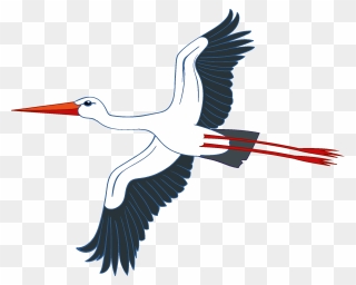 White Stork Clipart