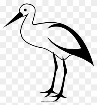 Stork Coloring Page - White Stork Clipart