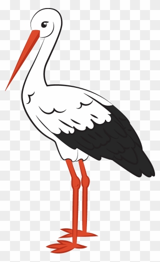 White Stork Clipart