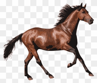 Foal,mare,horse - Transparent Horse Png Clipart