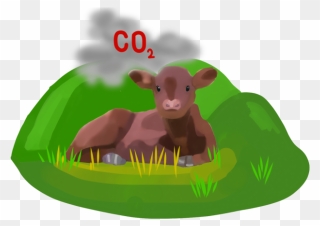 An Expanding Animal Agriculture Industry Leads To Deforestation - Cartoon Clipart