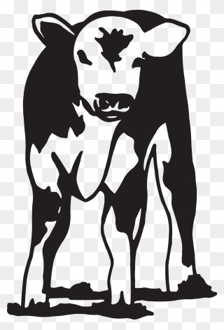 Hereford Calf Black And White Clipart