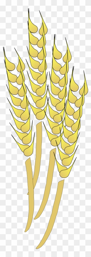 Wheat Clipart Gold Paisley - Wheat Clip Art - Png Download